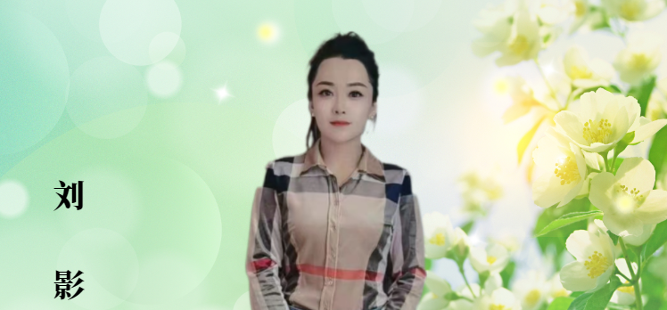秘书长刘影