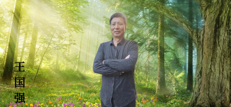 王国强