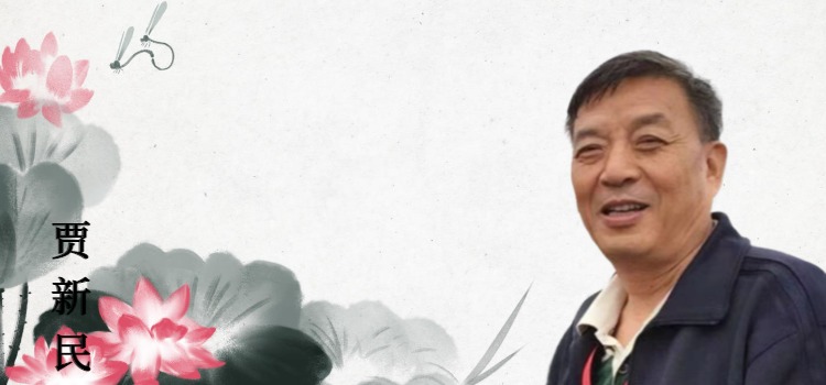 贾新民